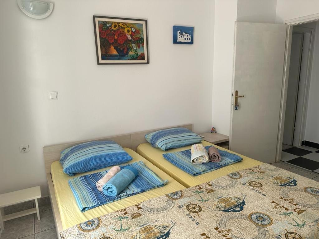 Marina Apartmani Tisno Murter エクステリア 写真